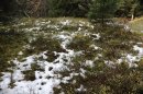 Premières neiges à 1490m